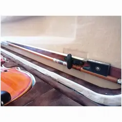 ویولن رناتو R-220 سایز 2/4