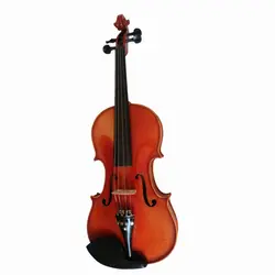 ویولن رناتو R-220 سایز 3/4