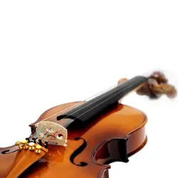 ویولن کارل هافنر AS 055 V سایز 2/4