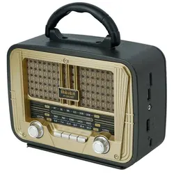 اسپیکر شارژی رادیویی M1803BT