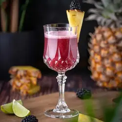 گیلاس اپرا کریستال ایتالیا RCR Opera 230cc