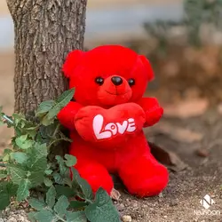 عروسک جوجه سورپرایزی قلبی اورجینال