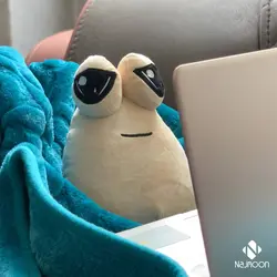 عروسک خرس پاپیون گلدار اورجینال در پنج رنگ