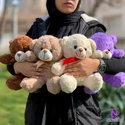 عروسک خرس راس 30 سانتی وارداتی