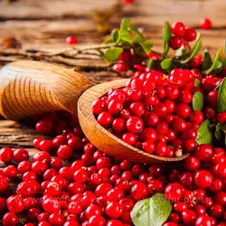 شامپو بدن ویدال مدل cranberry & goji حجم 500 میلی لیتر