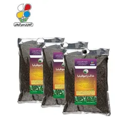 بستر آماده کشت زاموفیلیا 4 کیلویی بسته 3 عددی