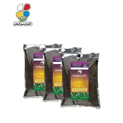 بستر آماده کشت زاموفیلیا 2 کیلویی بسته 3 عددی