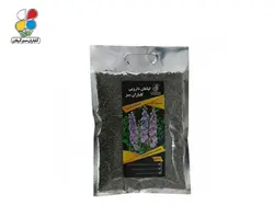( بسته 12 عددی ) گیاه اسطوخودوس(Lavandula stoechas)