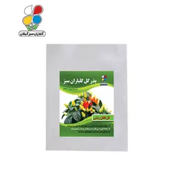 ( بسته 24 عددی ) بذر فلفل زینتی بزرگ