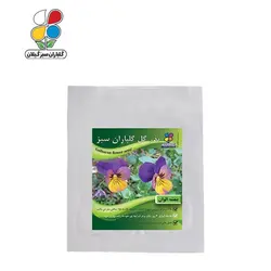 ( بسته 20 عددی ) بذر گل بنفشه الوان بسته بندی کوچک