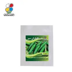 ( بسته 20 عددی ) بذر خیار بسته بندی کوچک