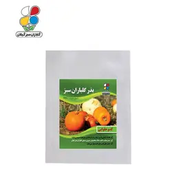 ( بسته 20 عددی ) بذر کدو حلوایی بسته بندی کوچک