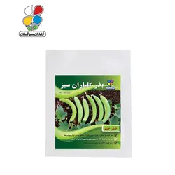( بسته 24 عددی ) بذر خیار چنبر بسته بندی بزرگ