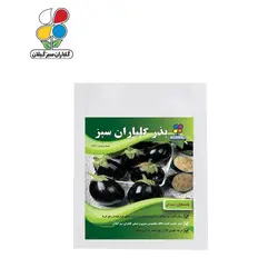 ( بسته 24 عددی ) بذر بادمجان دلمه ای بسته بندی بزرگ