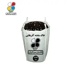 خاک بنفشه آفریقایی عمده 100 کیلویی