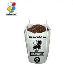 بستر آماده کشت شفلرا عمده 700 کیلویی