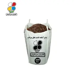 بستر آماده کشت نخل مرداب عمده 300 کیلویی