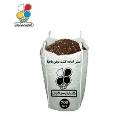 بستر آماده کشت دیفن باخیا عمده 700 کیلویی