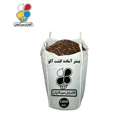 بستر آماده کشت آلو عمده 1000 کیلویی