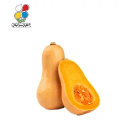 بذر کدو حلوایی بسته بندی بزرگ مجموعه 3 عددی