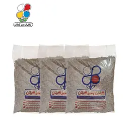 لیکا ( پوکه معدنی ) دانه درشت 4 کیلوگرمی بسته سه عددی نایلونی مدل GPP3