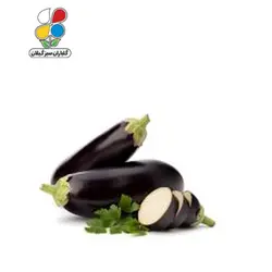بذر بادمجان قلمی  بسته 3 عددی مدل GPSS7L