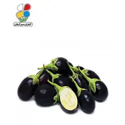 بذر بادمجان دلمه ای بسته 3 عددی مدل GPSS7L
