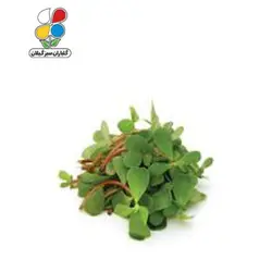 بذر خرفه بسته بندی کوچک مدل GPSV7