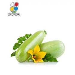 بذر کدو بسته بندی کوچک مدل GPSS7S