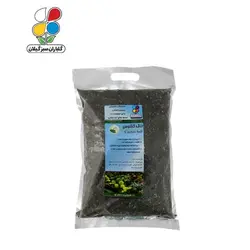 خاک کاکتوس بسته 2 کیلوگرمی مدل GPS1