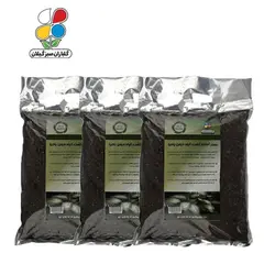 بستر آماده کشت دیفن باخیا 2 کیلوگرمی بسته سه عددی مدل GPS1