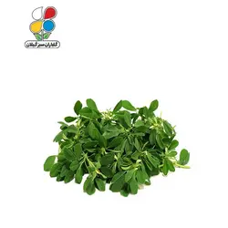 بذر شنبلیله بسته 3 عددی مدل GPSV7L