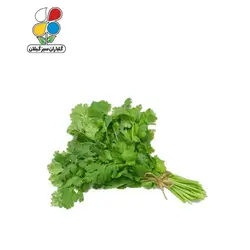 بذر گشنیز بسته 3 عددی مدل GPSV7L