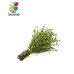 بذر آویشن بسته 3 عددی مدل GPSH7L
