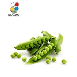 بذر نخود فرنگی بسته 3 عددی مدل GPSS7L