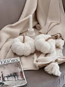 کدو دکوراتیو تدی