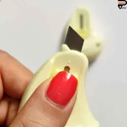 مینی کاتر جوجه