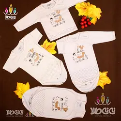 سرویس باز سنجاب