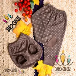 سرویس باز سنجاب