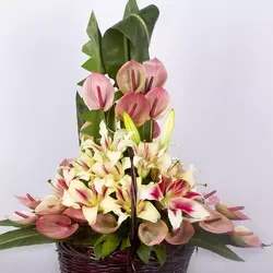 سبد گل هدیه آنتوریوم و لیلیوم کد 3810