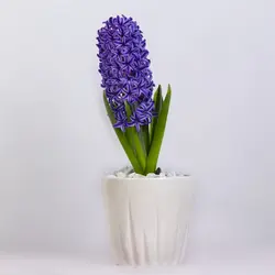 گلدان گل سنبل بنفش کد 4830