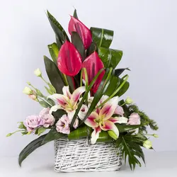 سبد گل آنتوریوم و لیلیوم کد 3650