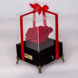 باکس موزیکال گل رز جاودان لاکچری کد 1050