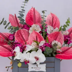 باکس چوبی گل آنتوریوم رنگی کد 4140