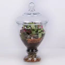 تراریوم شیشه ای کد 4750