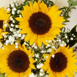 دسته گل هدیه آفتابگردان کد 6480