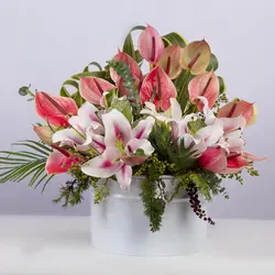 باکس گل هدیه آنتوریوم کد 2820