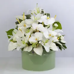 باکس گل آنتوریوم و لیلیوم کد 2760