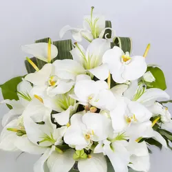 باکس گل آنتوریوم و لیلیوم کد 2760