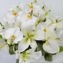 باکس گل آنتوریوم و لیلیوم کد 2760